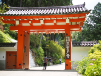 京都プラザホテル 本館・新館【公式】京都駅 観光・ビジネス