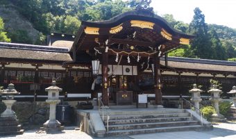 チームラボ 東寺 光の祭 ライトアップ 8月6日より開催 京都プラザホテル 本館 新館 公式 京都駅 観光 ビジネス