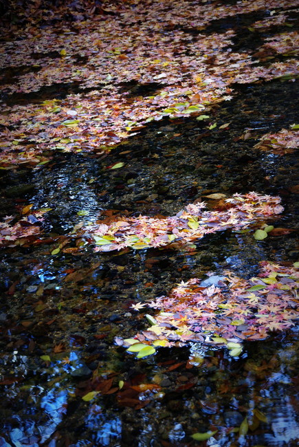 dsc05924
